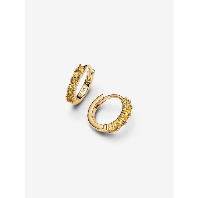 Pandora Pandora Oorbellen 263849C01 Zilver 14k Geelgoud Plating Klein met Geel