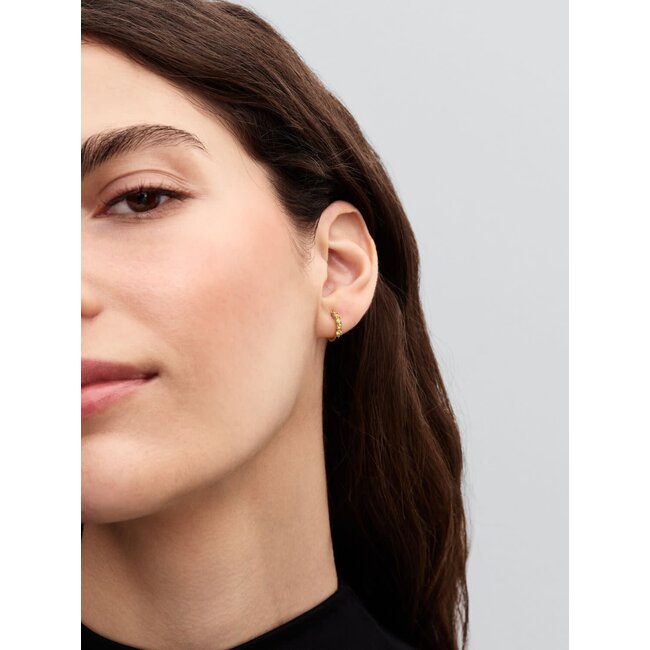 Pandora Pandora Oorbellen 263849C01 Zilver 14k Geelgoud Plating Klein met Geel