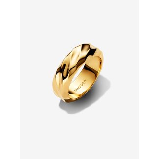 Pandora Pandora Ring 163886C00-54 Zilver 14k Geelgoud Plating Geribbeld Maat 54