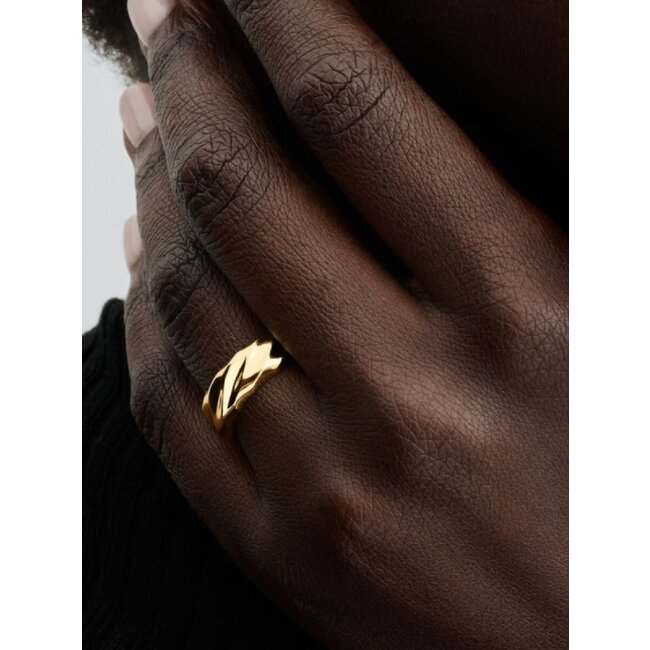 Pandora Pandora Ring 163886C00-54 Zilver 14k Geelgoud Plating Geribbeld Maat 54