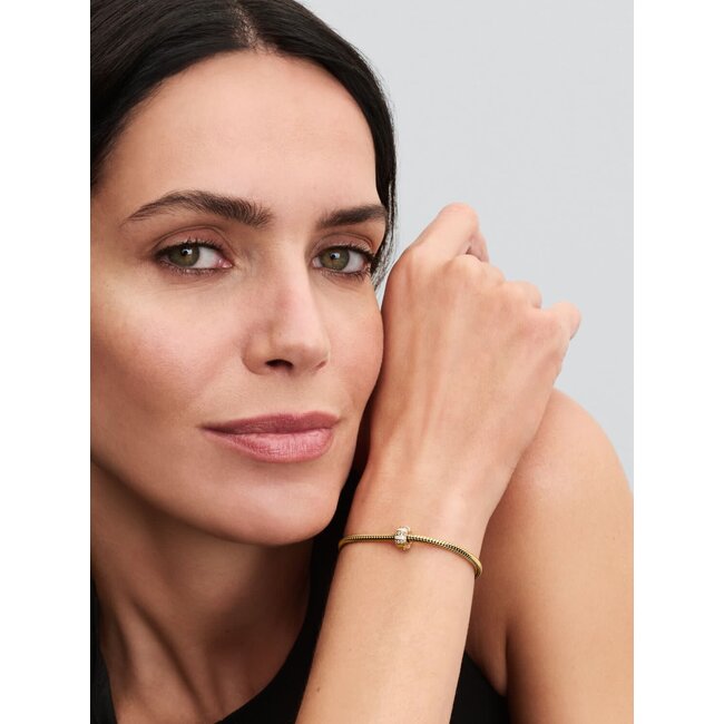 Pandora Pandora Bedel 763785C01 Zilver 14k Geelgoud Plating Clip met Zirkonia