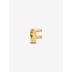 Pandora Pandora bedel 763952C00 Zilver met Geelgouden Plating Letter F