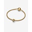 Pandora Pandora bedel 763962C00 Zilver met Geelgouden Plating Letter P