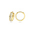 Blinckers Jewellery Huiscollectie BJ Oorbellen 40.18302 14k Geelgouden Oorringen met Zirkonia