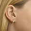 Blinckers Jewellery Huiscollectie BJ Oorbellen 40.18302 14k Geelgouden Oorringen met Zirkonia