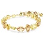 Swarovski Swarovski Armband 5718072 Gema Goudkleurige Plating met Bruin/Geel 15-19cm