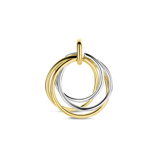Blinckers Jewellery Huiscollectie BJ Hanger 42.09098 Bicolor 14k Geel/Witgoud Ringen 21x17.5mm