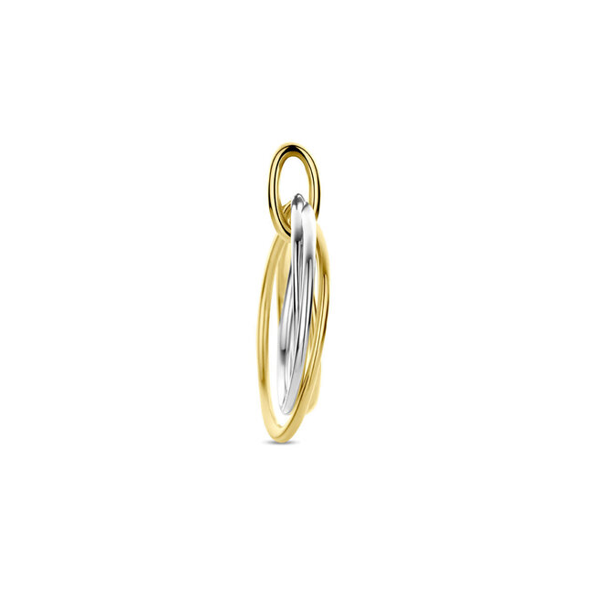 Blinckers Jewellery Huiscollectie BJ Hanger 42.09098 Bicolor 14k Geel/Witgoud Ringen 21x17.5mm