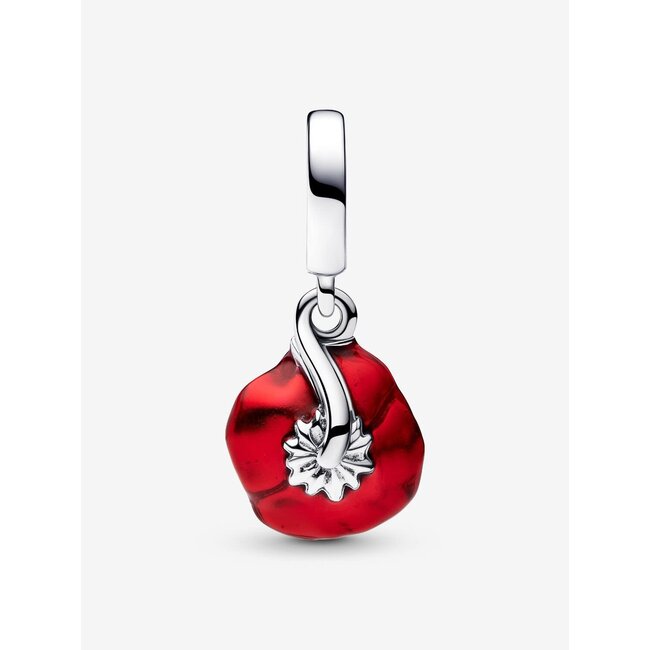 Pandora Pandora Bedel 793917C01 Zilver Bloem met Rood en Zwart