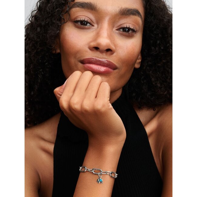 Pandora Pandora Bedel 793858C01 Zilver Olifant met Turquoise