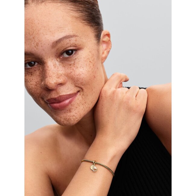 Pandora Pandora Bedel 763891C01 Zilver met 14k Geelgouden Plating Haak met Zirkonia en Parel