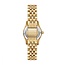 Michael Kors Michael Kors Horloge MK4842 Petit Lexington Staal met Geelgouden Plating Quartz en Groene Wijzerplaat 26mm