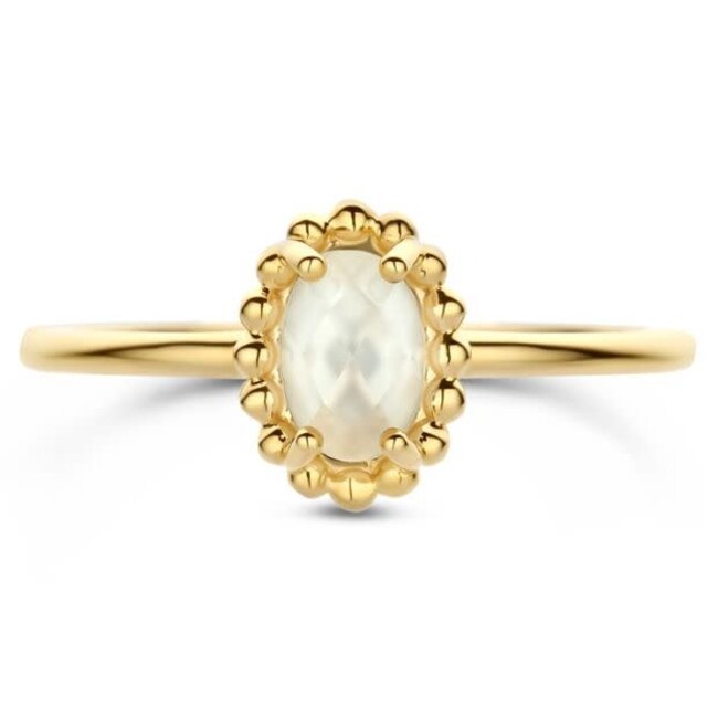 Blush Blush Ring 1272YMQ/54 14k Geelgoud met Kwarts Maat 54