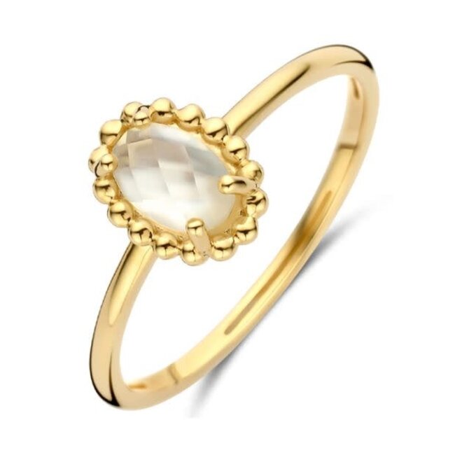 Blush Blush Ring 1272YMQ/54 14k Geelgoud met Kwarts Maat 54