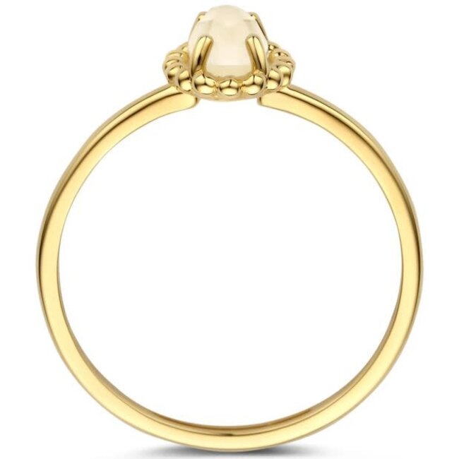 Blush Blush Ring 1272YMQ/54 14k Geelgoud met Kwarts Maat 54