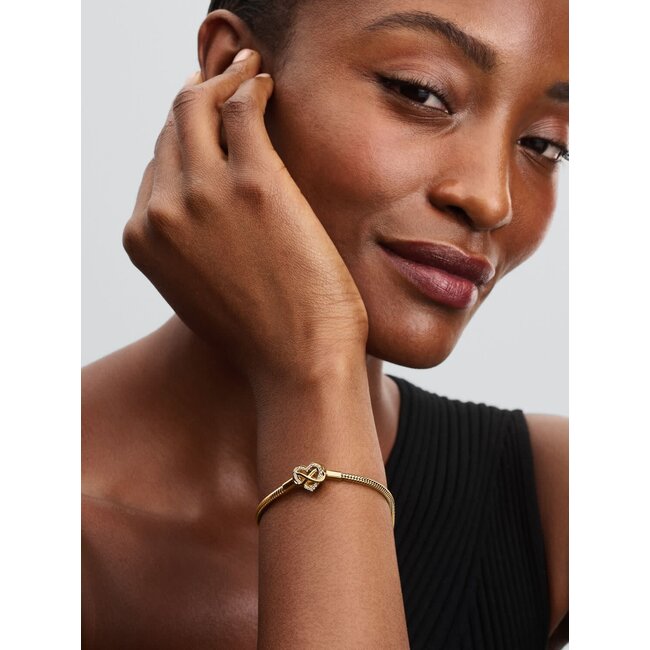 Pandora Pandora Armband 563758C01-21 Zilver met14k Geelgouden Plating Hart Sluiting met Infinity en Zirkonia Maat 21
