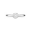 The House Of Blinckers THOB Ring 41.06449/54 14k Witgoud 0.51crt D VS1 Briljant Geslepen Labgrown Diamant IGI Maat 54
