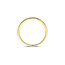 Blush Blush Ring LG1046Y/54 14k Geelgoud 0.16crt H SI Briljant geslepen Diamant Maat 54