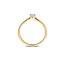 Blush Blush Ring LG1036B/54 14k Bi-color Goud 0,20crt H VS Briljant geslepen Labgrown Diamant Maat 54