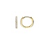 Blush Blush Oorbellen LG7029Y 14k Geelgoud 0.24crt H SI Briljant geslepen Labgrown Diamant 1.8mm x 12.5mm
