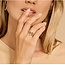 Blush Blush Ring 1199YZI/54 14k Geelgoud met Zirkonia Maat 54