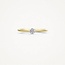 Blush Blush Ring 1199YZI/54 14k Geelgoud met Zirkonia Maat 54