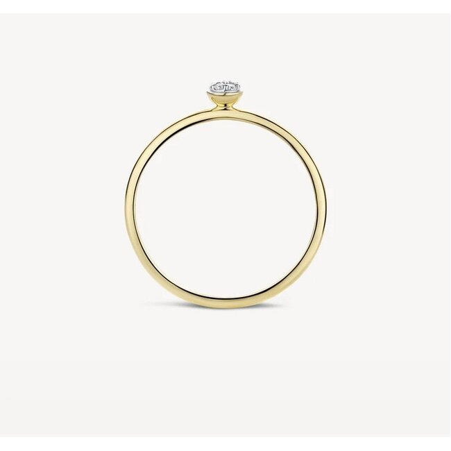 Blush Blush Ring 1199YZI/54 14k Geelgoud met Zirkonia Maat 54