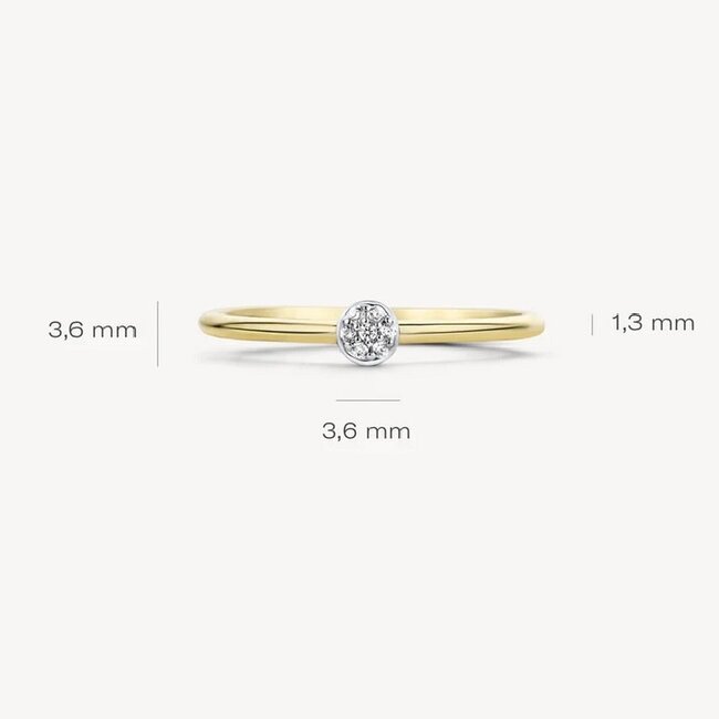 Blush Blush Ring 1199YZI/54 14k Geelgoud met Zirkonia Maat 54