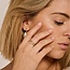 Blush Blush Solitair Ring 1200YZI/52 14k Geelgoud met Briljant geslepen Zirkonia Maat 52