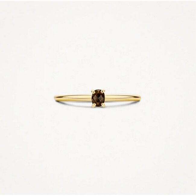Blush Blush Ring 1204YSQ/54 14k Geelgoud met Smokey Quartz Maat 54