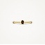Blush Blush Ring 1204YSQ/54 14k Geelgoud met Smokey Quartz Maat 54