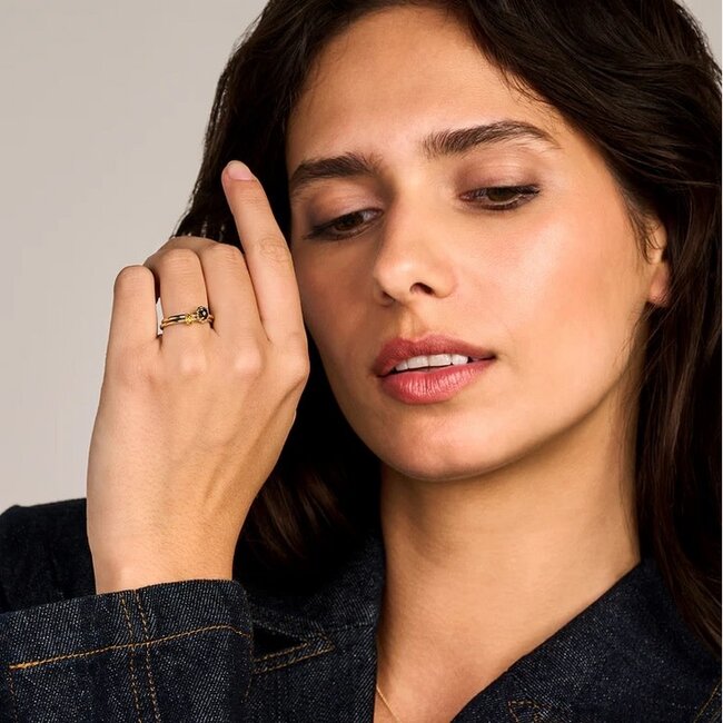 Blush Blush Ring 1204YSQ/54 14k Geelgoud met Smokey Quartz Maat 54