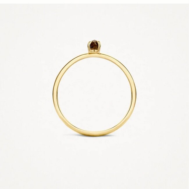 Blush Blush Ring 1204YSQ/54 14k Geelgoud met Smokey Quartz Maat 54