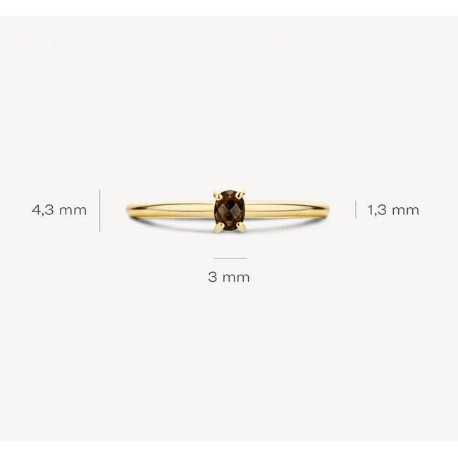 Blush Blush Ring 1204YSQ/54 14k Geelgoud met Smokey Quartz Maat 54