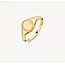 Blush Blush Zegelring 1205YGO/54 14k Geelgoud met Motief Maat 54