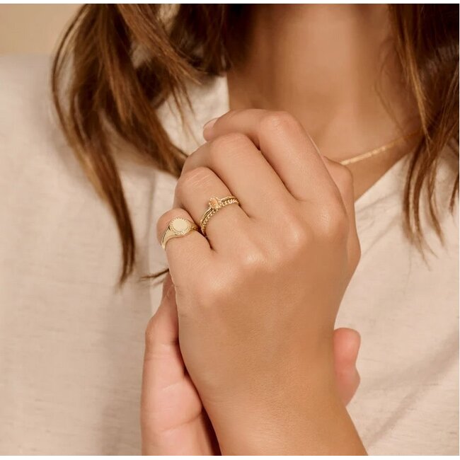 Blush Blush Zegelring 1205YGO/54 14k Geelgoud met Motief Maat 54