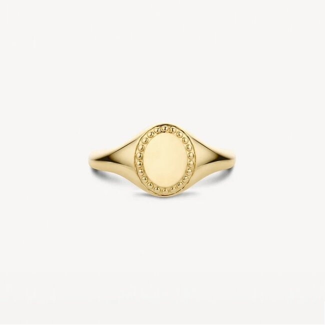 Blush Blush Zegelring 1205YGO/54 14k Geelgoud met Motief Maat 54