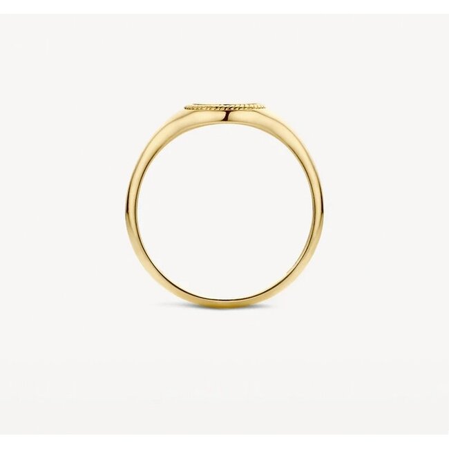 Blush Blush Zegelring 1205YGO/54 14k Geelgoud met Motief Maat 54