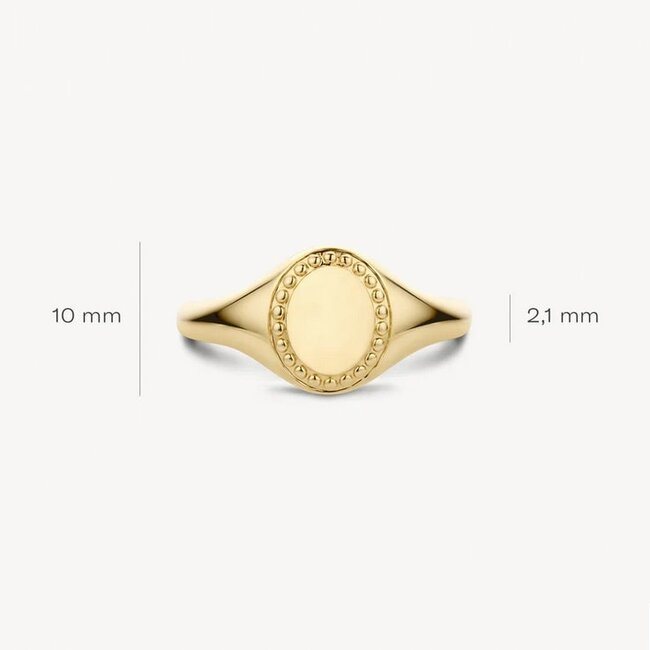 Blush Blush Zegelring 1205YGO/54 14k Geelgoud met Motief Maat 54