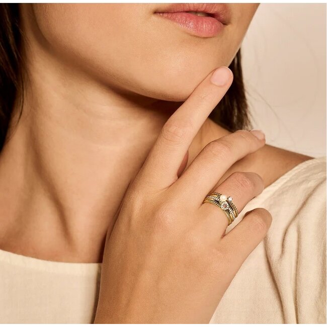 Blush Blush Ring 1213YPW/54 14k Geelgoud met Parel Maat 54