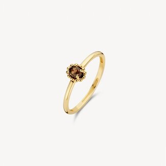 Blush Blush Ring 1227YSQ/54 14k Geelgoud met Smokey Quartz Maat 54