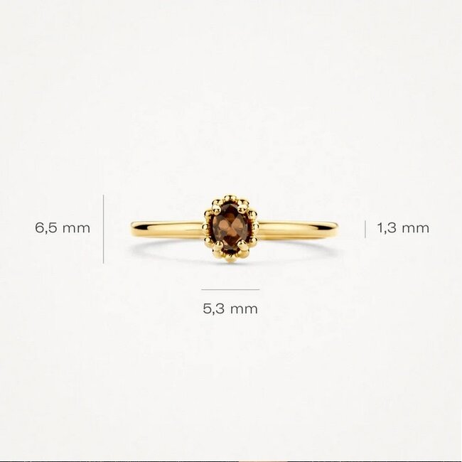 Blush Blush Ring 1227YSQ/54 14k Geelgoud met Smokey Quartz Maat 54