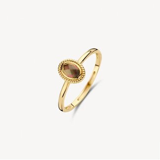 Blush Blush Ring 1239YBQ/56 14k Geelgoud met Parelmoer en Pure Quartz Maat 56