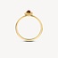 Blush Blush Ring 1239YBQ/56 14k Geelgoud met Parelmoer en Pure Quartz Maat 56