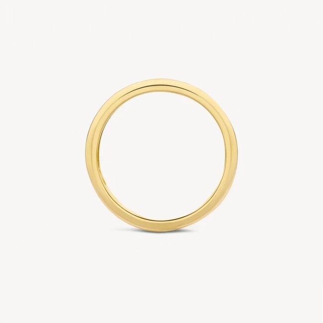 Blush Blush Ring 1607BDI/54 14k Geelgoud met Diamant Maat 54