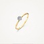 Blush Blush Ring 1610BDI/54 14k Geelgoud 0.11crt G SI Briljant geslepen Diamant Maat 54