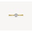 Blush Blush Ring 1610BDI/54 14k Geelgoud 0.11crt G SI Briljant geslepen Diamant Maat 54