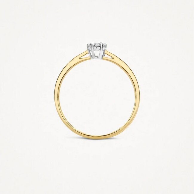 Blush Blush Ring 1610BDI/54 14k Geelgoud 0.11crt G SI Briljant geslepen Diamant Maat 54