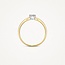 Blush Blush Ring 1610BDI/54 14k Geelgoud 0.11crt G SI Briljant geslepen Diamant Maat 54