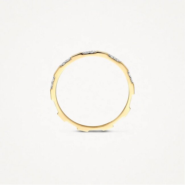 Blush Blush Ring 1260YZI/54 14k Geelgoud met Zirkonia Maat 54